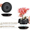 Meshpot Bonsai Pots with Drainage Tray and Excellent Airflow Plastic Bonsai Tree Pot with Air-Pruning, Large Bonsai Large Bonsai